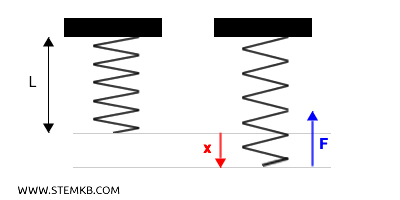 esempio di forza elastica