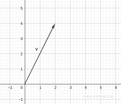 un esempio di vettore a due dimensioni (piano)