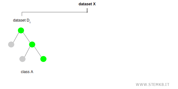 il funzionamento della random forest